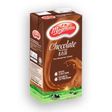 Milk F&N Chocolate Pack 1Ltr
