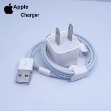 iPhone X Charger