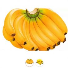 Banana Sagor 12 pcs