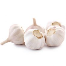 Garlic Premium 500gm